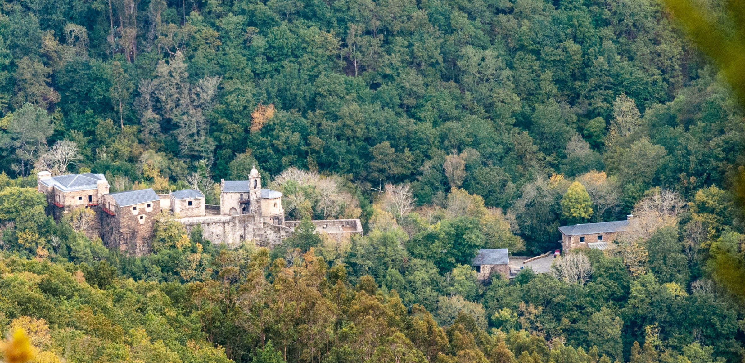 Fragas do Eume. El bosque atlántico de Europa